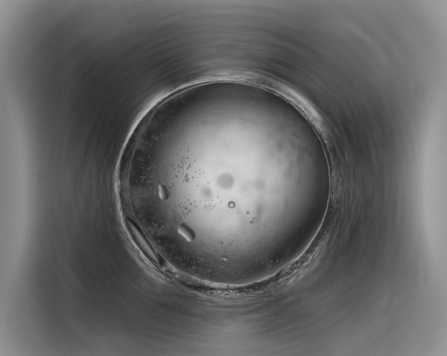 X0000116320907200912011110