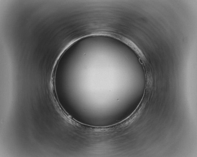 X0000116320908200912011110