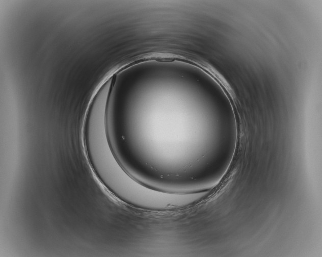 X0000116320909200912011110