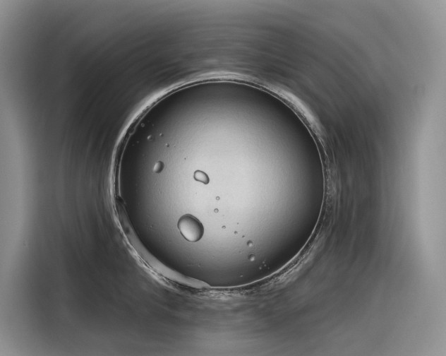 X0000116320910200912011110