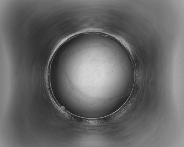 X0000116320911200912011110