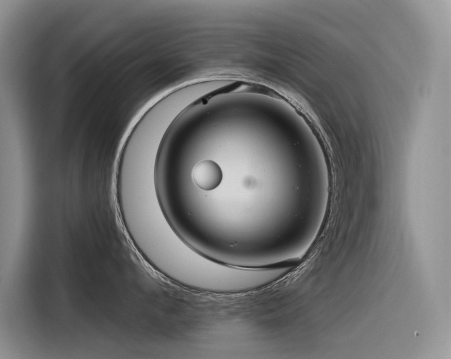 X0000116320912200912011110