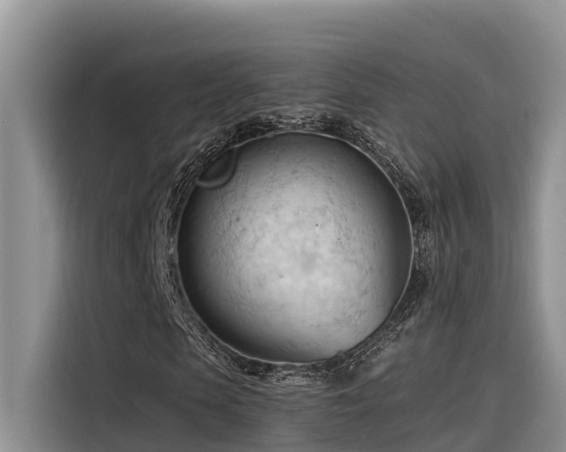 X0000116320913200912011109