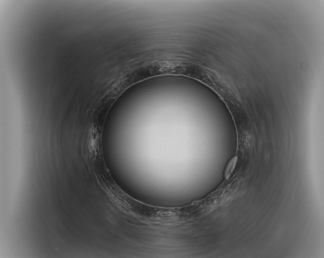 X0000116320914200912011109