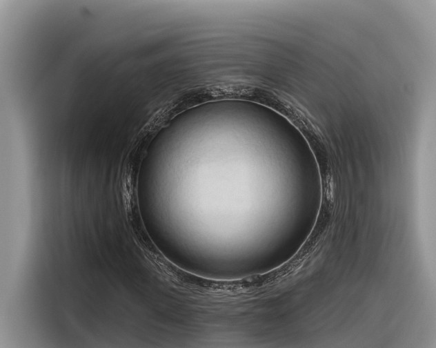 X0000116320915200912011109