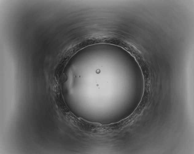 X0000116320917200912011109