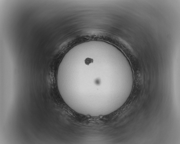 X0000116320918200912011109