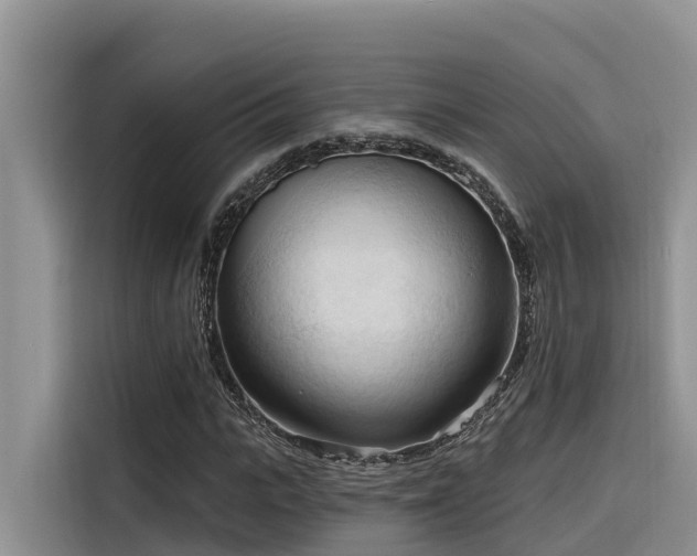 X0000116320919200912011109
