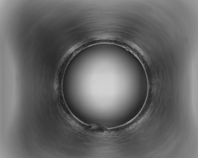 X0000116320922200912011109