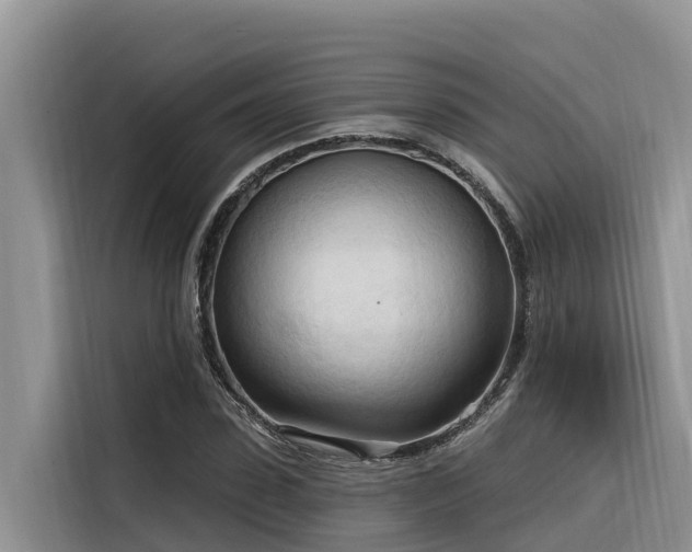 X0000116320923200912011109