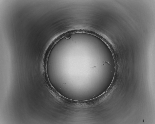 X0000116320927200912011109