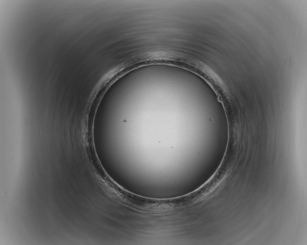 X0000116320930200912011109