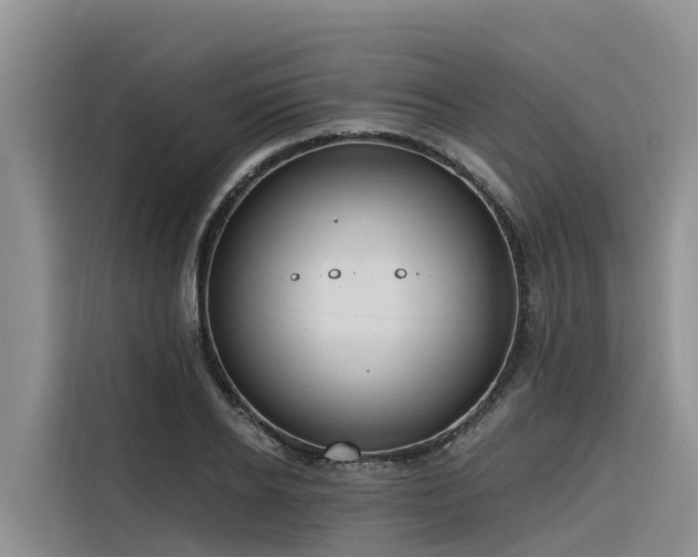 X0000116320934200912011109