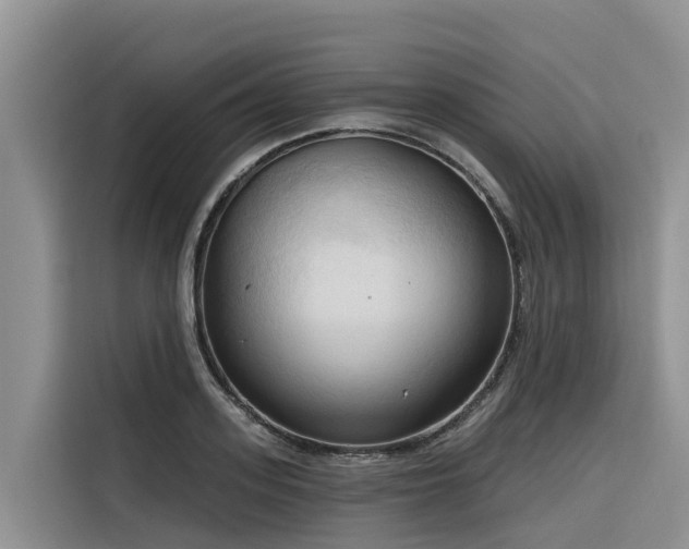 X0000116320939200912011109