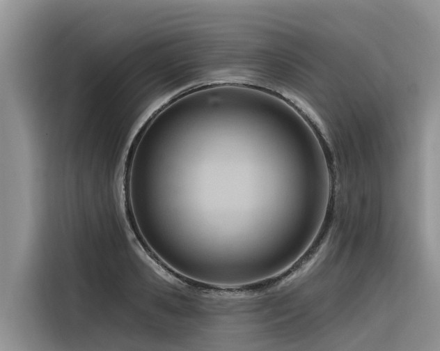 X0000116320941200912011110