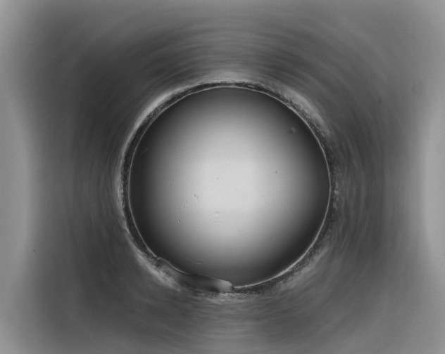 X0000116320942200912011110