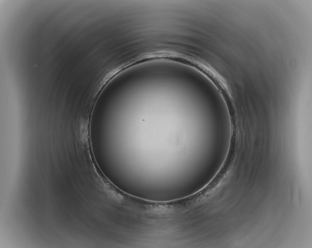 X0000116320945200912011110