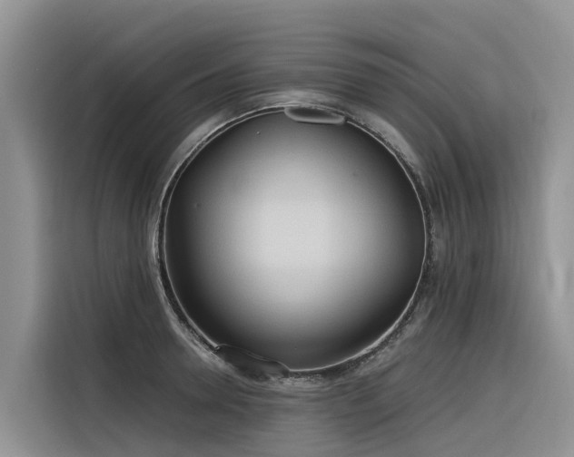 X0000116320946200912011110