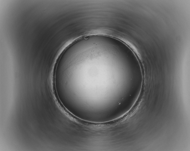 X0000116320949200912011110