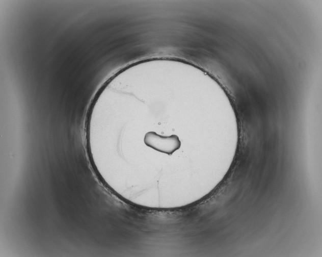 X0000116320950200912011110