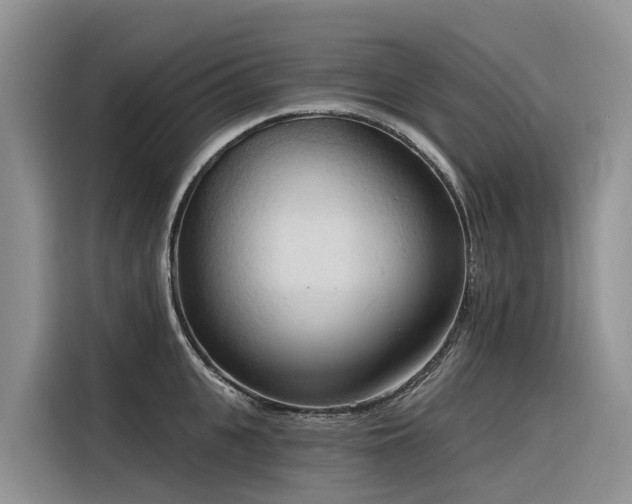 X0000116320951200912011110