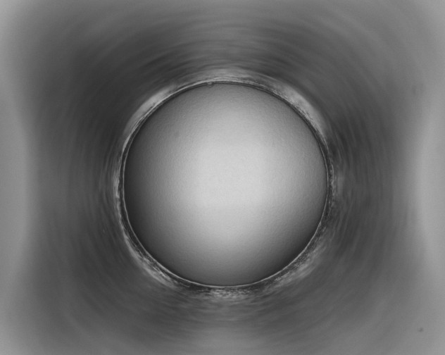 X0000116320954200912011110