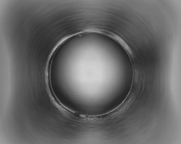 X0000116320955200912011110