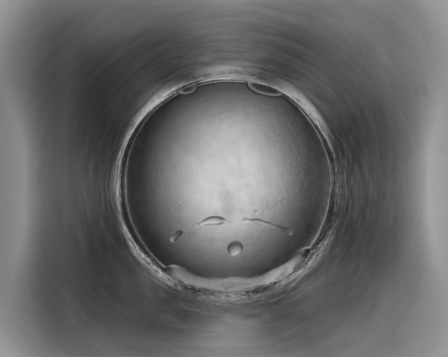 X0000116320957200912011110