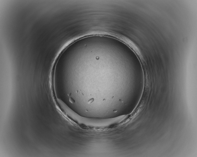 X0000116320958200912011110