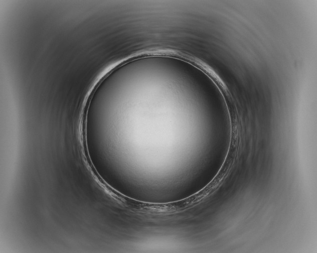 X0000116320959200912011110