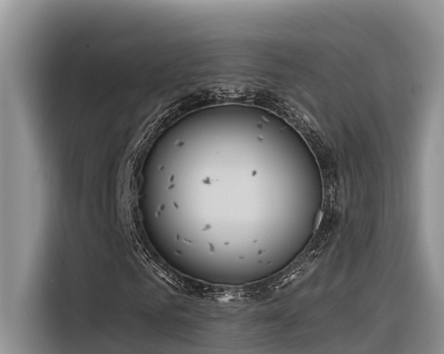 X0000116320961200912011109