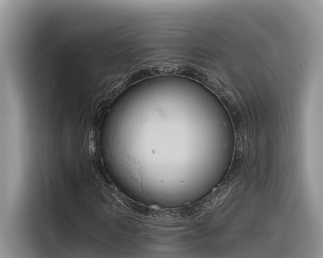 X0000116320962200912011109
