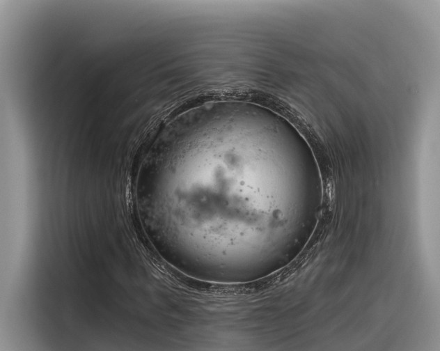 X0000116320963200912011109