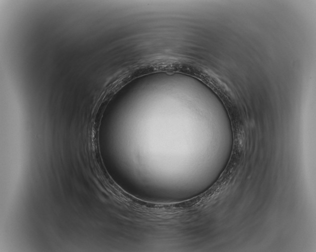 X0000116320964200912011109