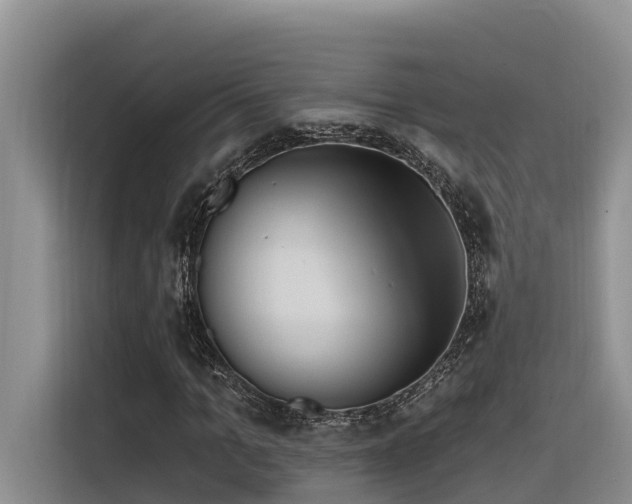 X0000116320965200912011109