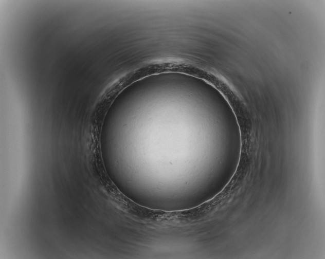 X0000116320967200912011109