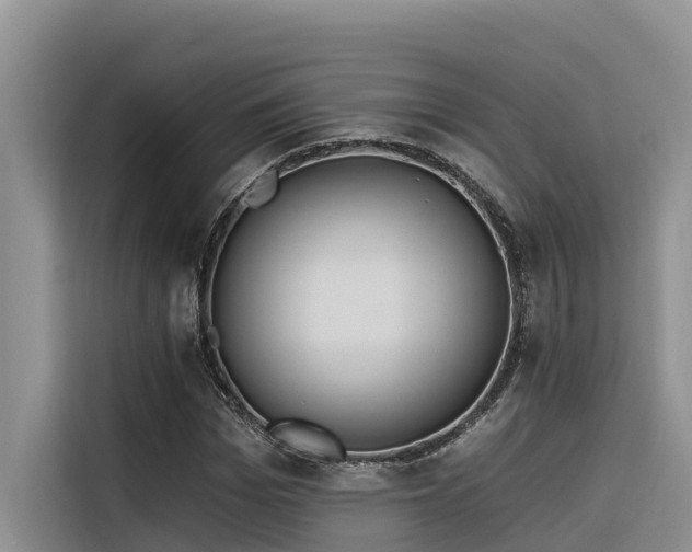 X0000116320969200912011109