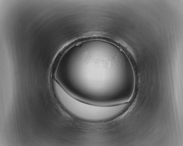 X0000116320973200912011109