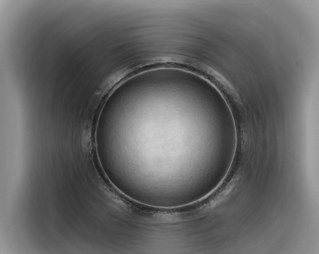 X0000116320977200912011109