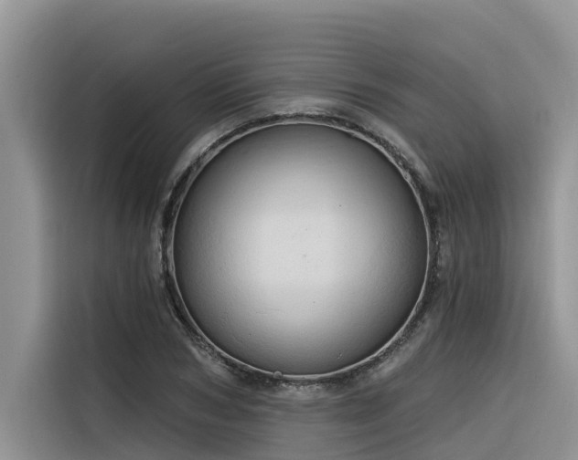 X0000116320978200912011109