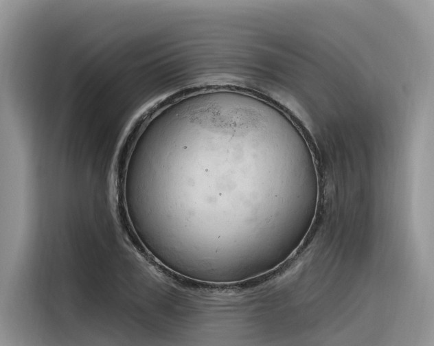 X0000116320979200912011109
