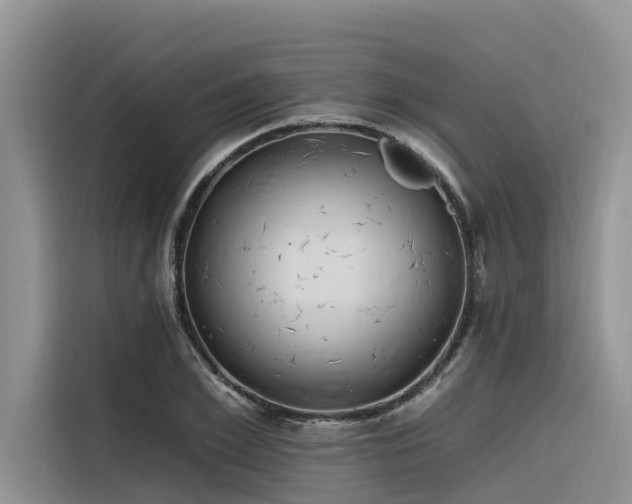 X0000116320981200912011109