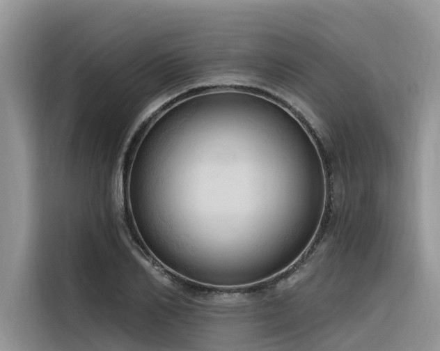 X0000116320982200912011109