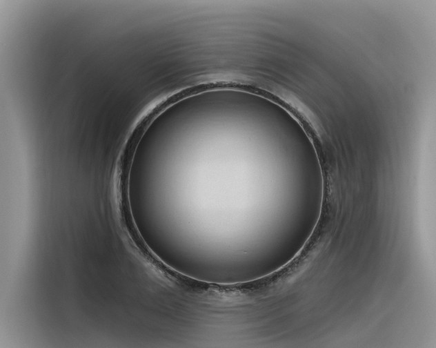 X0000116320983200912011109