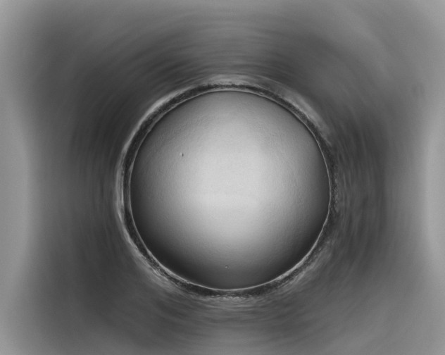 X0000116320984200912011109