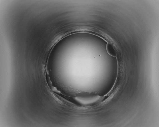 X0000116320985200912011109