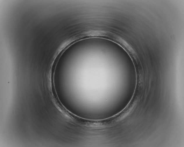 X0000116320986200912011109