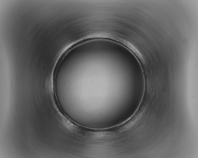 X0000116320988200912011109