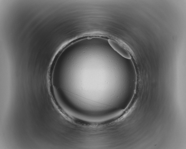 X0000116320989200912011109