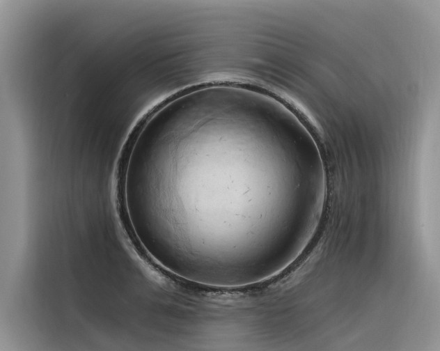 X0000116320991200912011109